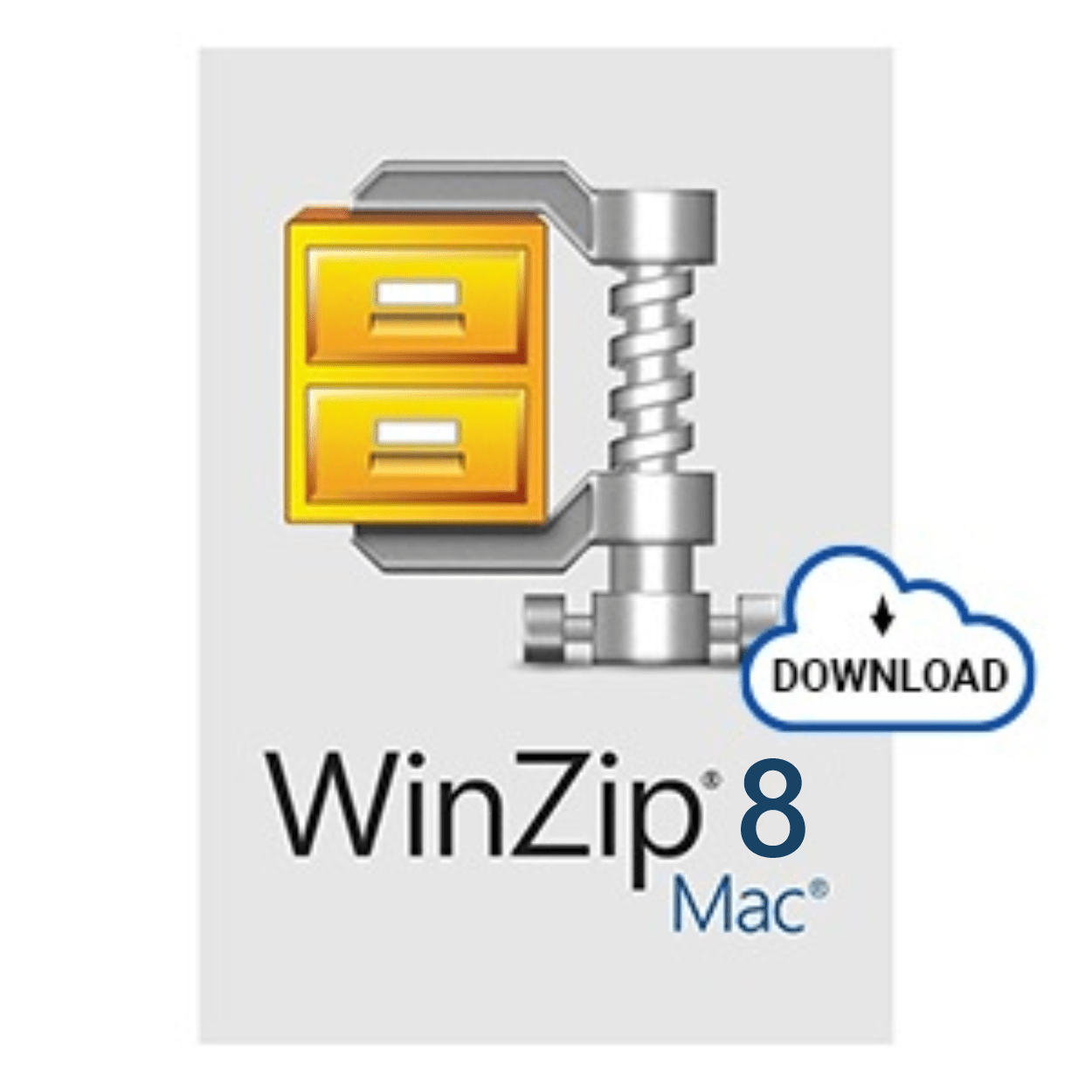 what is winzip in computer