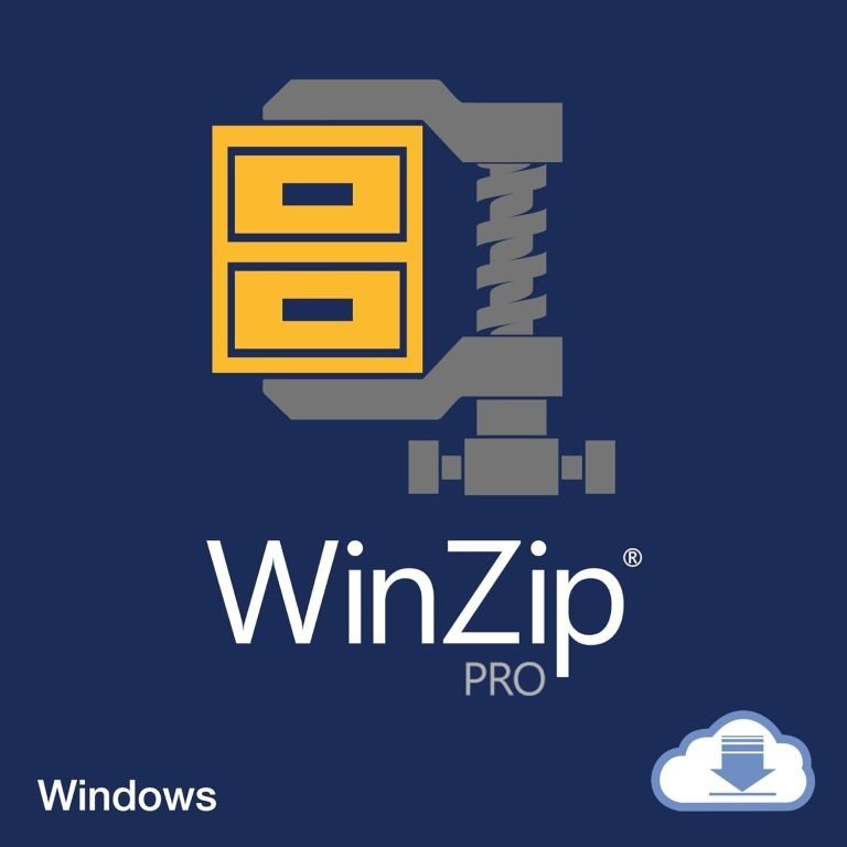 winzip pro 29