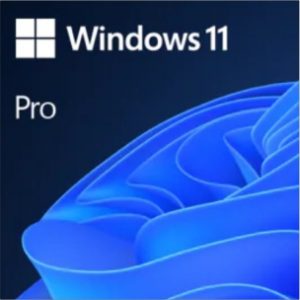 Windows 11 Pro